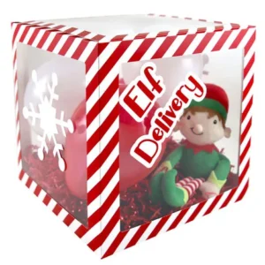 Elf arrival delivery box X33294 Eurowrap