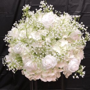 55CMGypsophila main