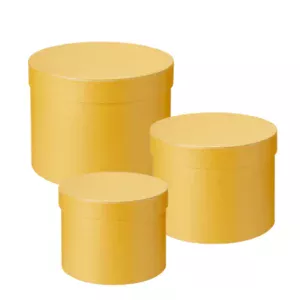oasis-set-of-3-hat-boxes-yellow-66d5a6c9d7a53.webp