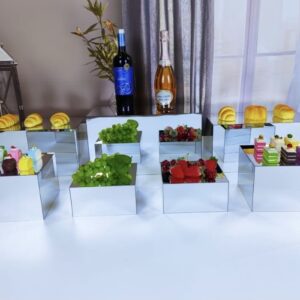 Set of 7 New Silver Acrylic Food Riser Display Stands