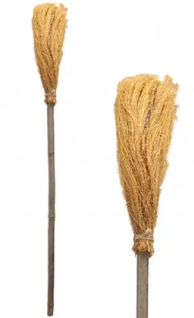 Witchs Broom