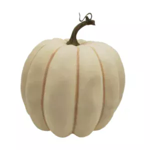 Cream Pumpkin_rsz_6f0552f00750462d945167b3f6a53c46.webp