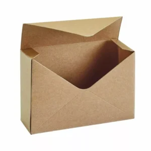 Oasis 10 Pack Kraft Envelope Floral Boxes 41 01469