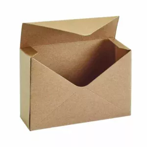 Oasis 10 Pack Kraft Envelope Floral Boxes 41 01469