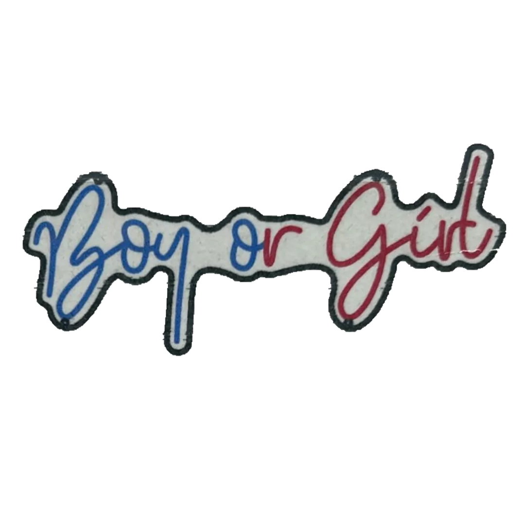 boy-or-girl-neon-sign-pink-ice-blue-671b810bb0842.webp