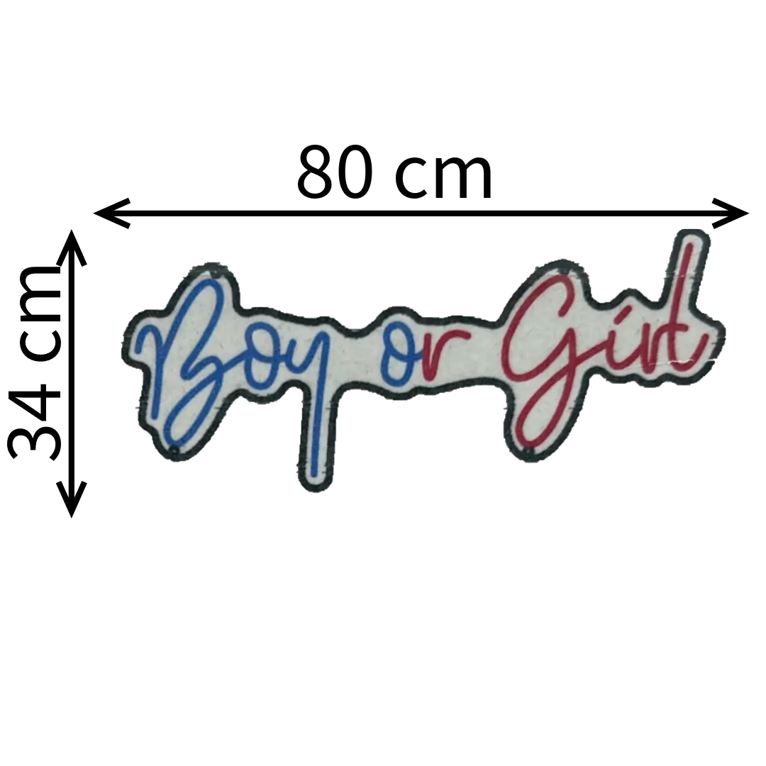 boy-or-girl-neon-sign-pink-ice-blue-dimensions-671b810971917.webp