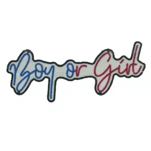 boy-or-girl-neon-sign-pink-ice-blue-671b810bb0842.webp