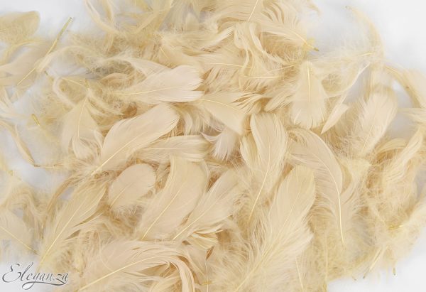 Eleganza Feathers Mixed sizes 3"-5" 50g bag Pampas No.115