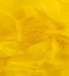 Eleganza Feathers Mixed sizes 3"-5" 50g bag Yellow No.11