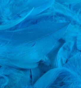 Eleganza Feathers Mixed sizes 3"-5" 50g bag Turquoise No.55