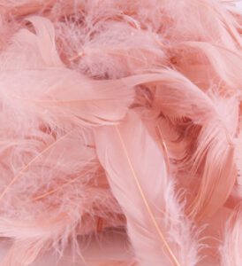 Eleganza Feathers Mixed sizes 3"-5" 50g bag Rose Gold No.87