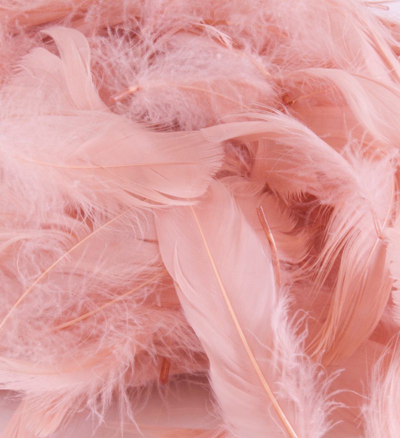 Eleganza Feathers Mixed sizes 3"-5" 50g bag Rose Gold No.87