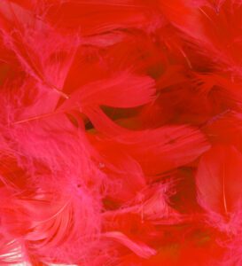 Eleganza Feathers Mixed sizes 3"-5" 50g bag Red No.16