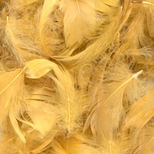 Eleganza Feathers Mixed sizes 3"-5" 50g bag Gold No.35