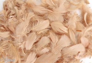 Eleganza Feathers Mixed sizes 3"-5" 50g bag Natural No.02