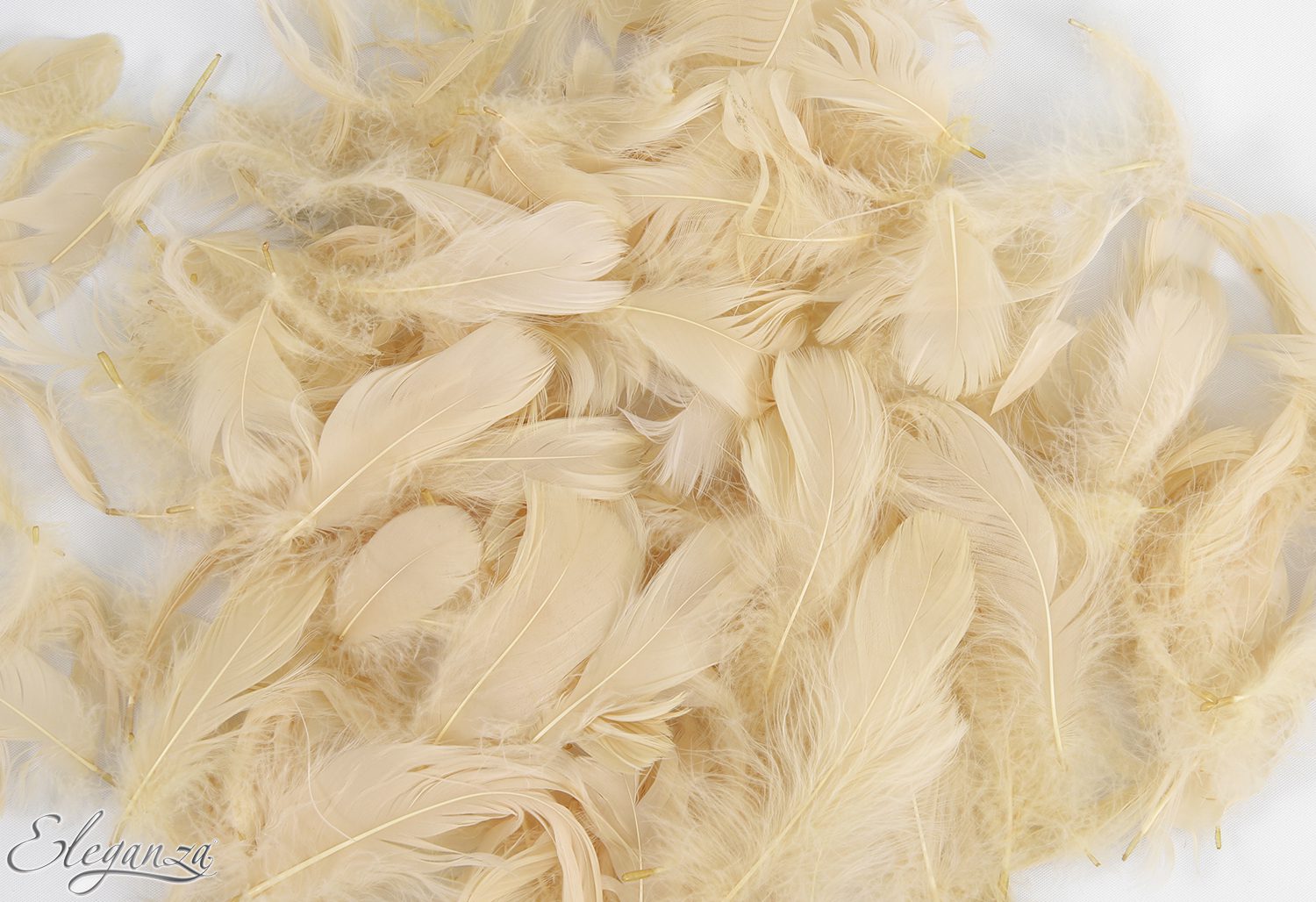 Eleganza Feathers Mixed sizes 3"-5" 50g bag Pampas No.115