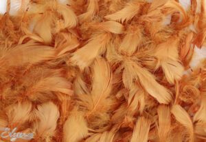 Eleganza Feathers Mixed sizes 3"-5" 50g bag Copper No.23