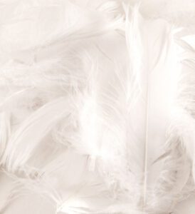 Eleganza Feathers Mixed sizes 3"-5" 50g bag White No.01