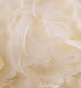 Eleganza Feathers Mixed sizes 3"-5" 50g bag Ivory No.61