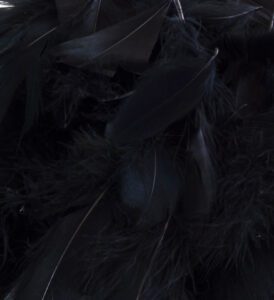 Eleganza Feathers Mixed sizes 3"-5" 50g bag Black No.20