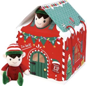Eurowrap Elf Arrival Printed House Box with Handles (24pk)