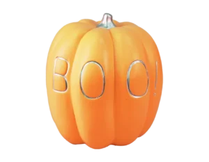 17cm x 14cm Terracotta Orange Pumpkin