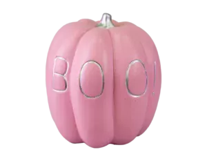 17cm x 14cm Terracotta Baby Pink Pumpkin