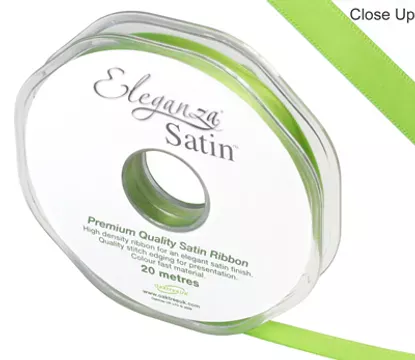 Eleganza Satin Pistachio 10mm x 20m Satin Ribbon