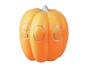 17cm x 14cm Terracotta Orange Pumpkin