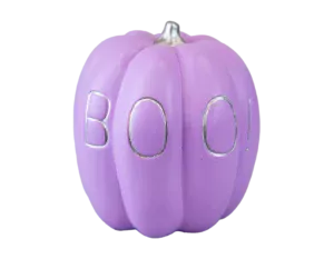 17cm x 14cm Terracotta Lilac Pumpkin