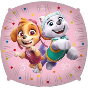 Official 17 inch Paw Patrol Everest & Skye Square Foil Balloon