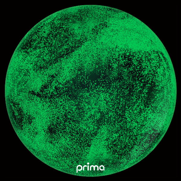 20 inch Green Glow In The Dark Glitter Clear Sphere Balloon