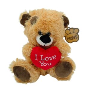 10 inch Cute Brown Sitting Bear with I LOVE YOU Red Heart