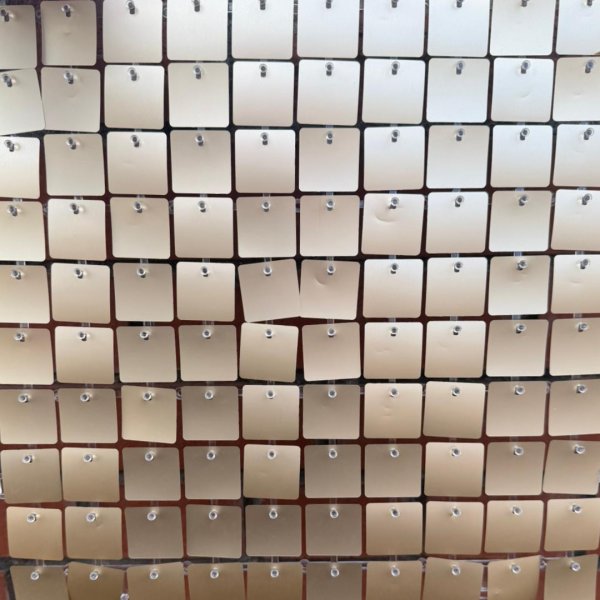 matte white gold sequin panel