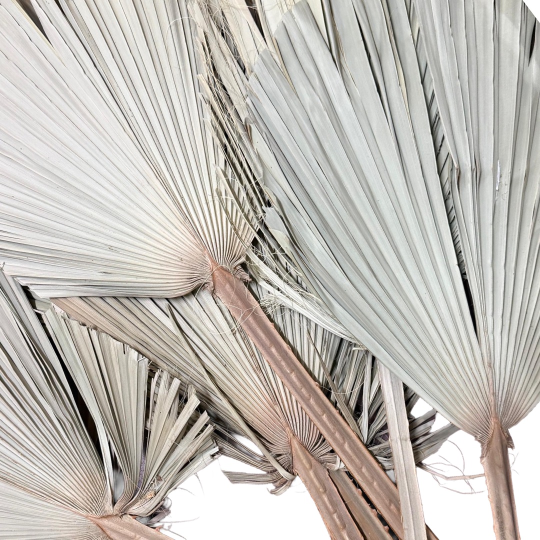 Artificial Palm Tree Leaf