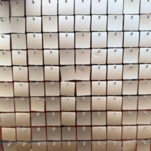 matte white gold sequin panel