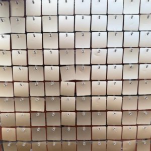 matte white gold sequin panel
