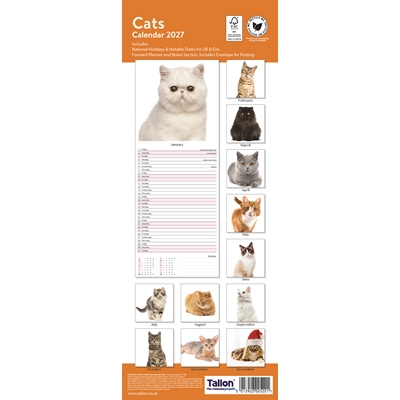 Calendar Super Slim Cats & Kittens (24PK) - Image 2