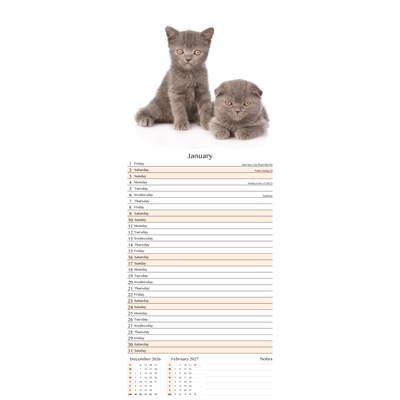 Calendar Super Slim Cats & Kittens (24PK) - Image 3
