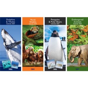 Calendar Super Slim Dolphins & Whales, Animals (24PK)