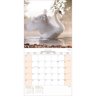 Calendar Sq Birds and Wildlife - Image 2