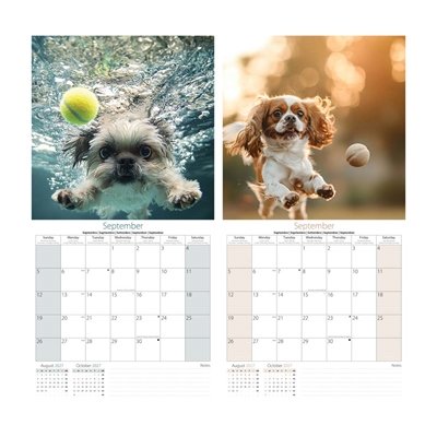 Calendar Sq Fetch - Image 2