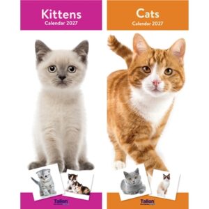 Calendar Super Slim Cats & Kittens (24PK)