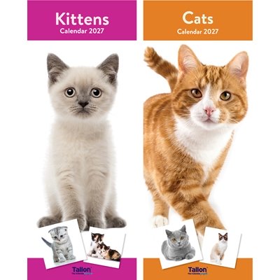 Calendar Super Slim Cats & Kittens (24PK)