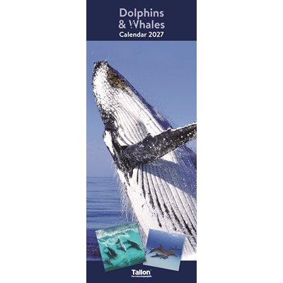 Calendar Super Slim Dolphins & Whales, Animals (24PK) - Image 2