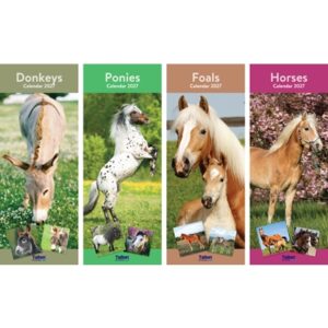 Calendar Super Slim Donkey, Foal, Horse, Pony (24PK)