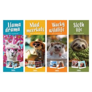 Calendar Super Slim Llama, Meerkat, Sloth, Wacky (24PK)
