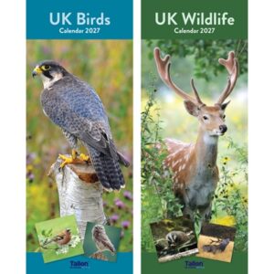 Calendar Super Slim UK Birds & Wildlife (24PK)