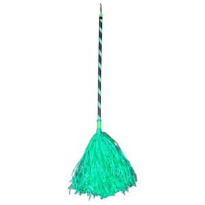 Spooky Green Halloween Witch Party Broom