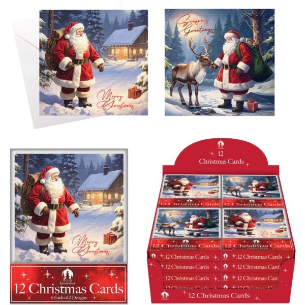 12 XMAS Cards, Acetate Santa, Reindeer,Night (24pk)